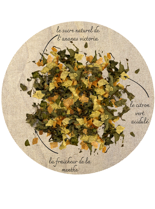 Ananas, Citron vert, Menthe